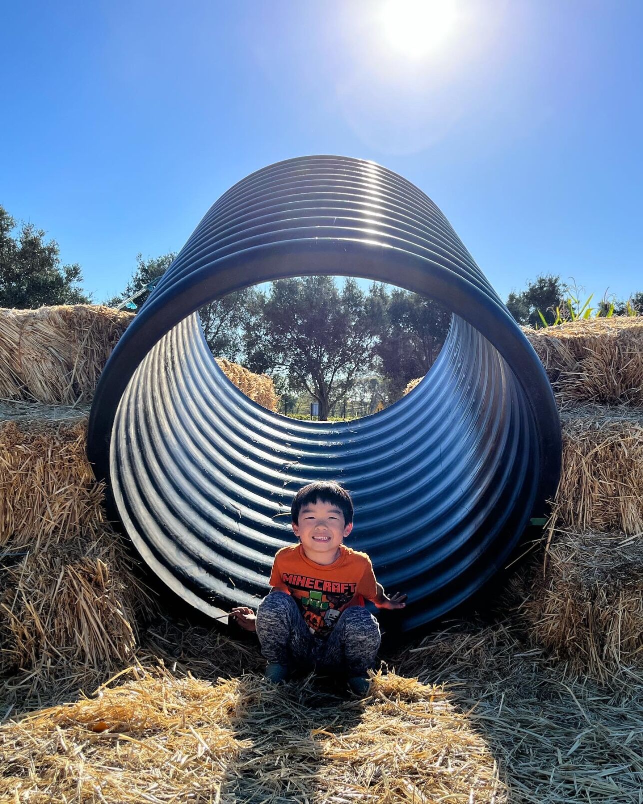 Picking Pumpkins 2022